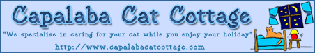 Capalaba Cat Boarding